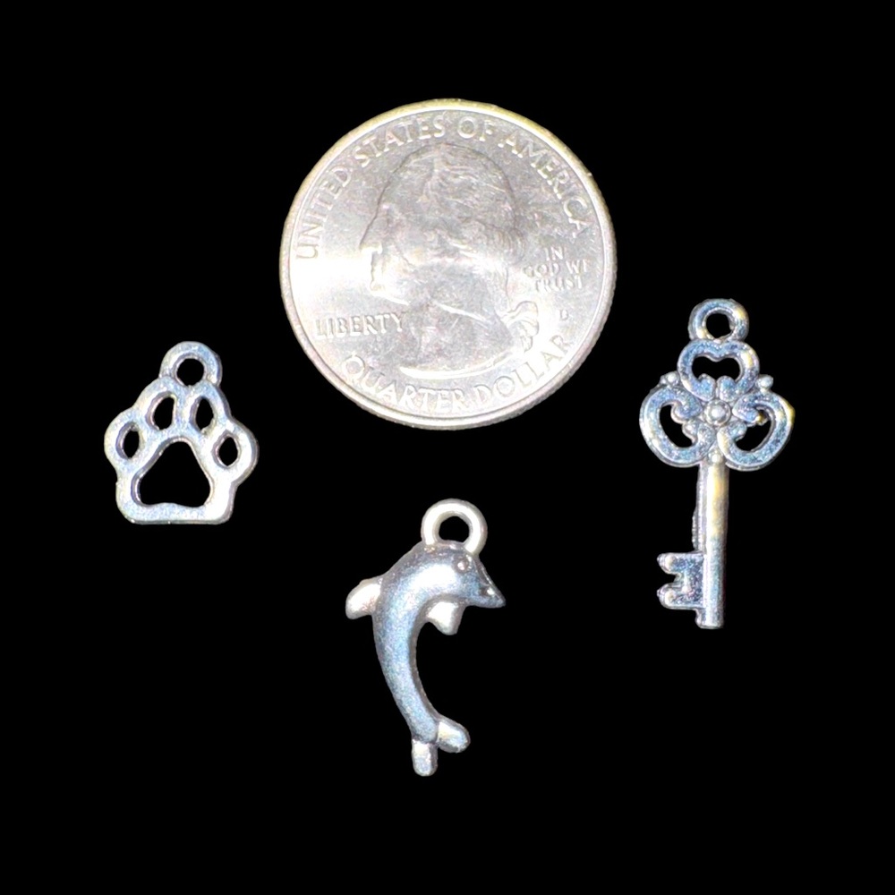 🐾 🐬🗝️ New! Bracelet Charms Bundle